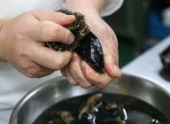 【ムール貝の下処理】貝の表面の汚れを、鍋底用タワシ等でこすり、付着物をきれいに掃除する。