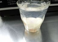 温玉作り。電子レンジ対応グラスに水を入れ、生卵を落とし、600ワットで1分10秒加熱し、深皿に取り出します。この温玉に上記の残った割り下を大さじ1杯加える。