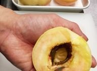 皮を剥いた白桃を半分にカットし、種をとる。
(種があたってカット出来ない場合は切り目を入れ手で軽く回す)