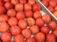 トマトのへたを取り、湯むきして、上から十字に半分くらいまで切り込みを入れます。深めの耐熱皿またはステンレスのバットにトマトを並べて上から三温糖、塩をかけます。