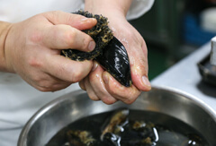貝の表面の汚れを、鍋底用タワシ等でこすり、付着物をきれいに掃除する。