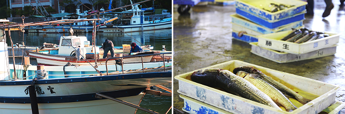 岡山市内から東に車で1時間、海岸線を走ると日生（ひなせ）漁港がみえてくる。兵庫県との県境も近い。「セイロ」とよばれる容器に獲れたての魚が入れられ、競りにかけられる。
